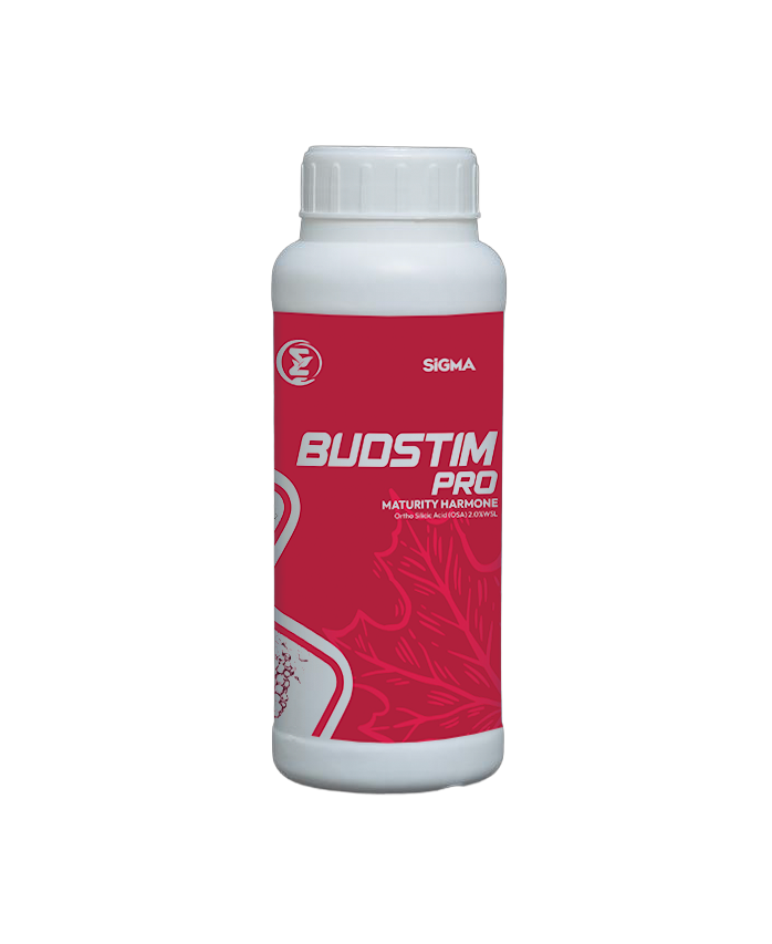 BUDSTIM PRO