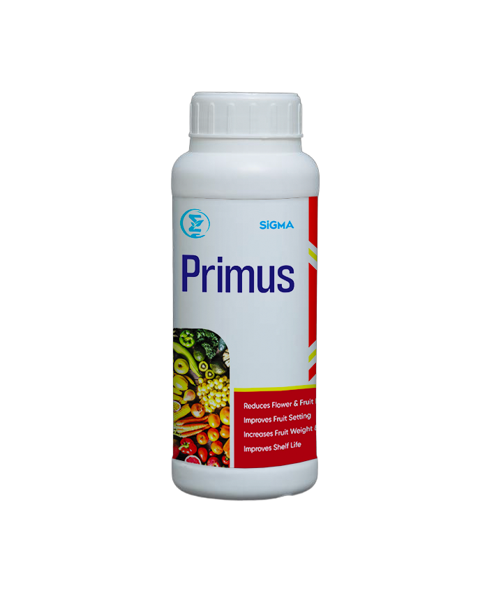 Primus