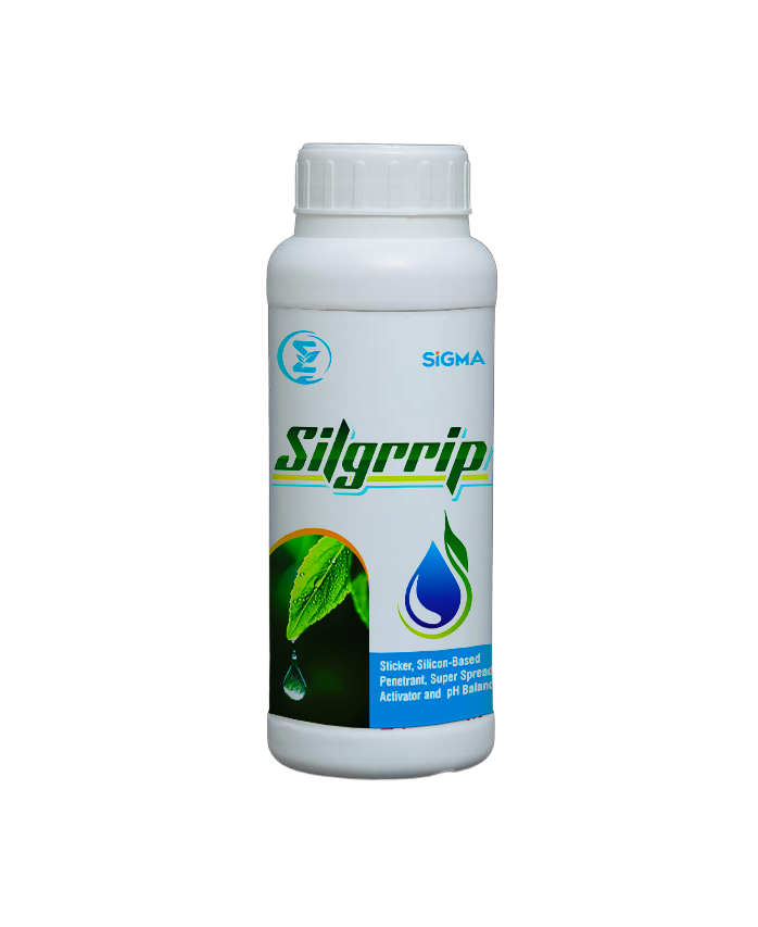 Silgrip