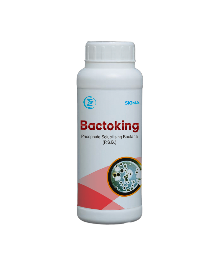 BACTOKING (P.S.B.)